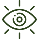 Authentic Vision